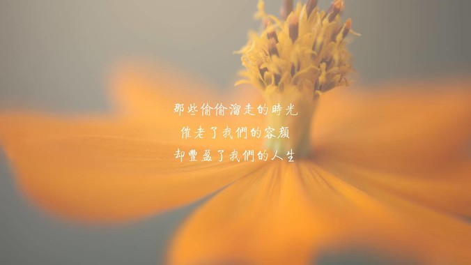 sv66 bet cách vào game tài xỉu